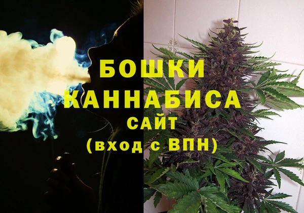 стафф Бородино